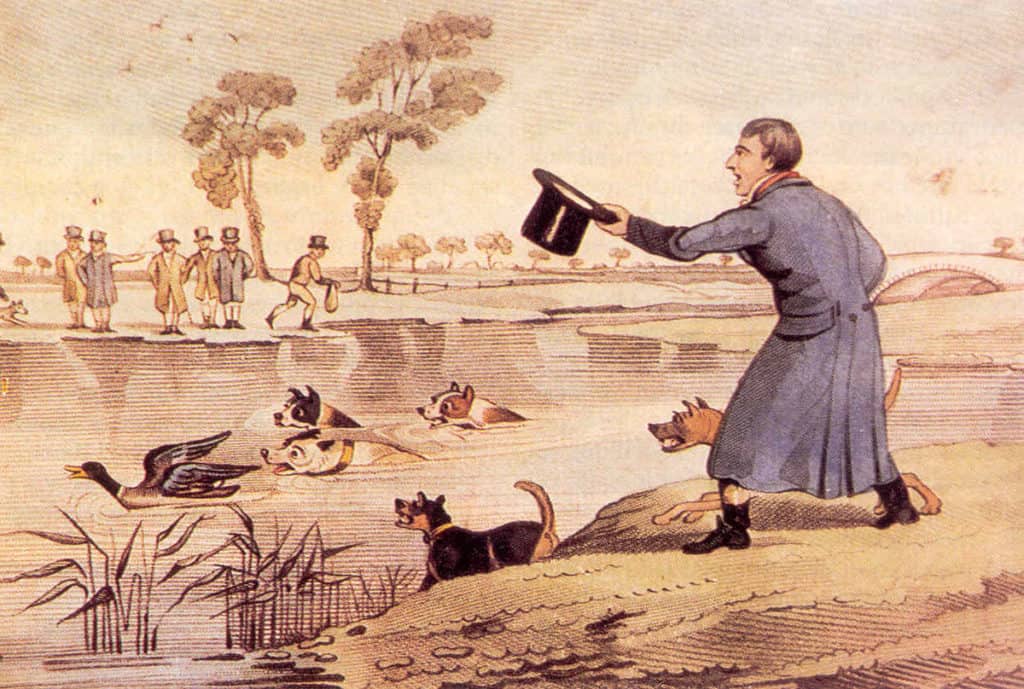 Duck-baiting.-Wikipedia-1024x689