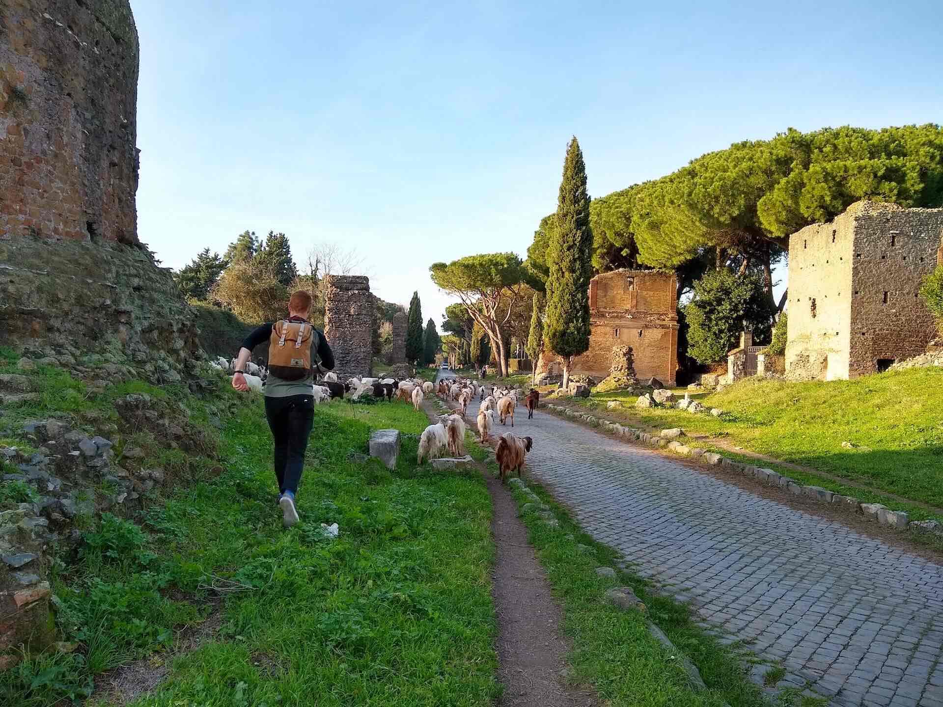 Exploring the Via Appia