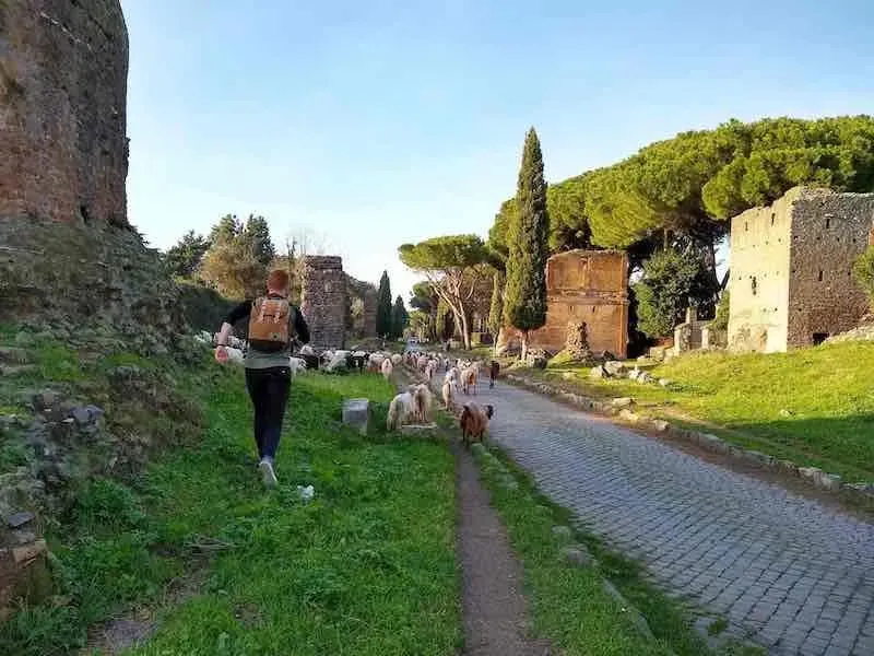 Person walking along the ancient Via Appia Antica road in Rome, flanked by cypress trees and historical ruins