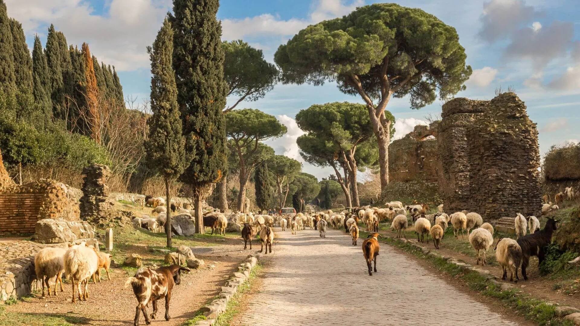 Modern car driving on the ancient cobblestone road of Via Appia Antica in Rome, lined with historic ruins and cypress trees