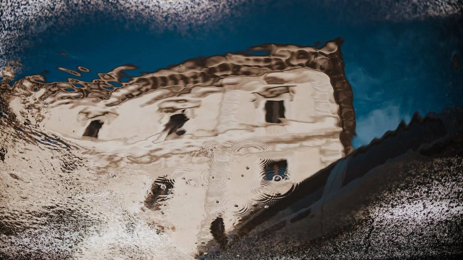 Untitled-design-22-1