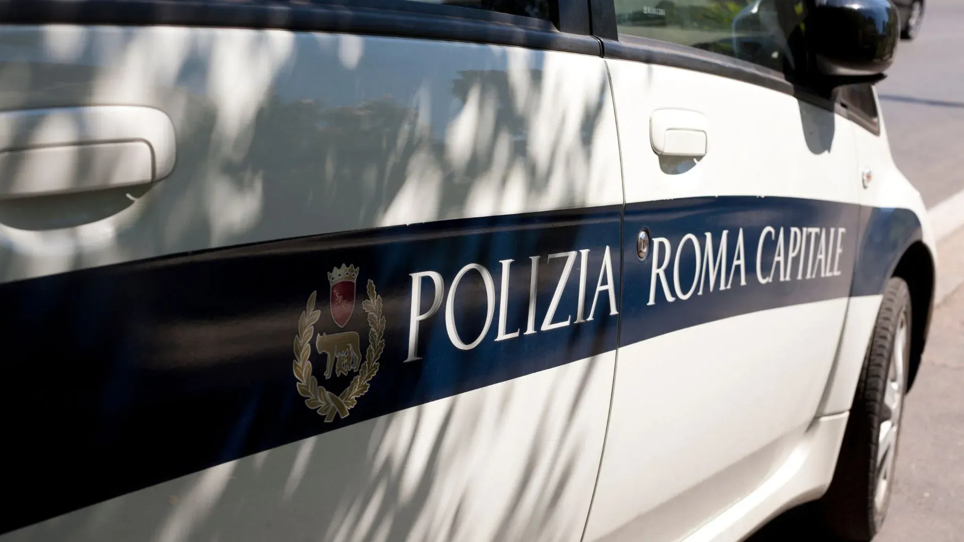 Carpe Diem Tours promotional graphic design for Italian travel experiences and tours