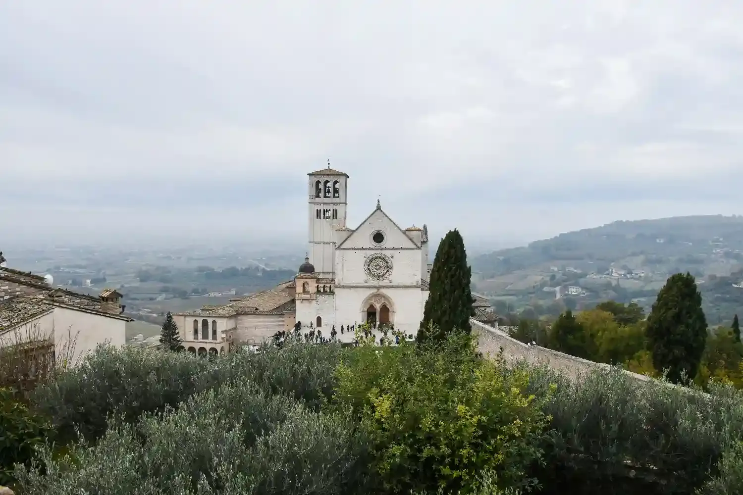 Basilica of Saint Francis in Assisi with bell tower surrounded by olive groves and Umbrian countryside
