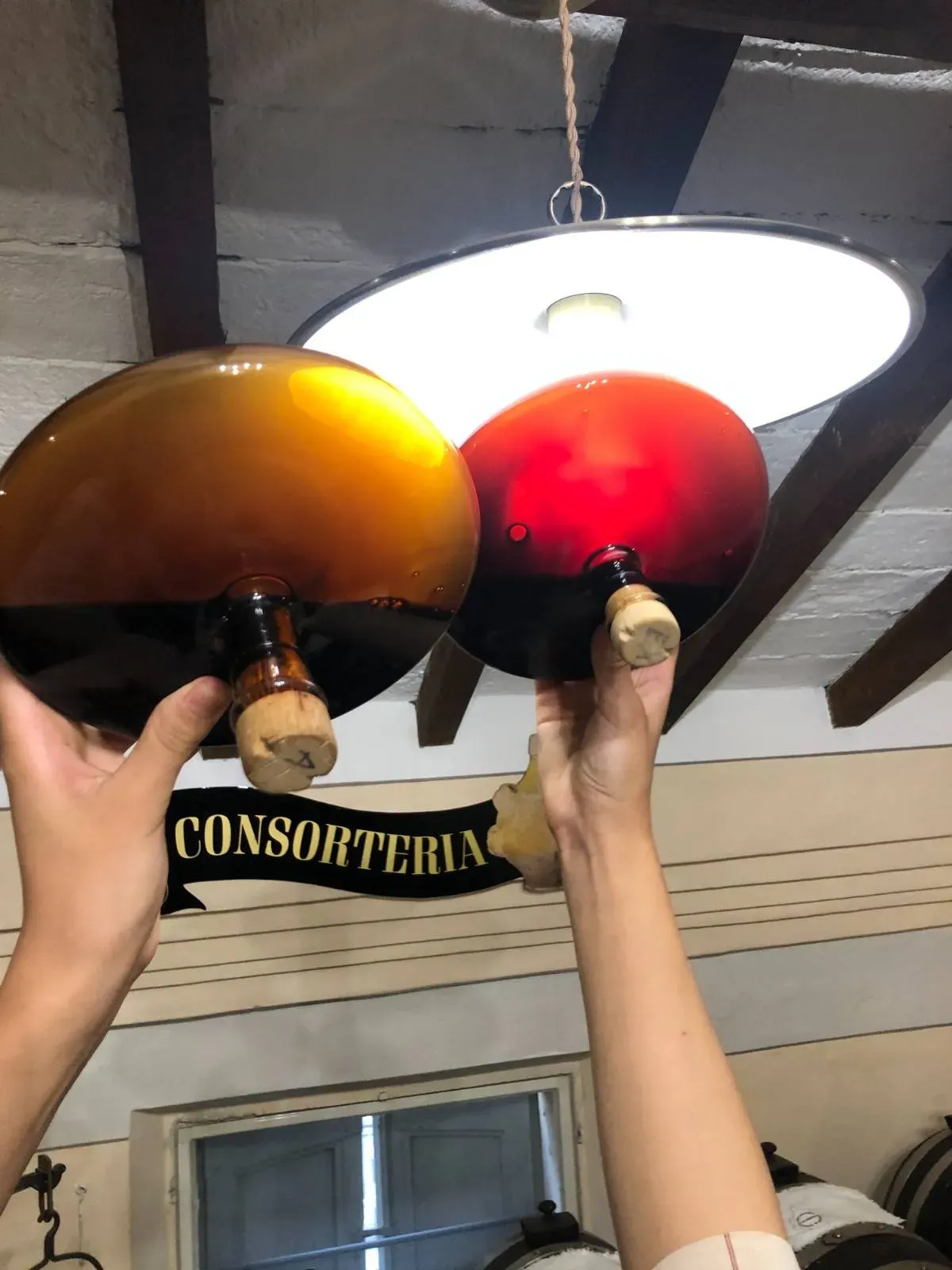 Hands holding two bottles of aged balsamic vinegar—one golden amber and one deep red—during a tasting experience, with a "Consorteria" sign visible, showcasing the color variations of different aged balsamic vinegars.