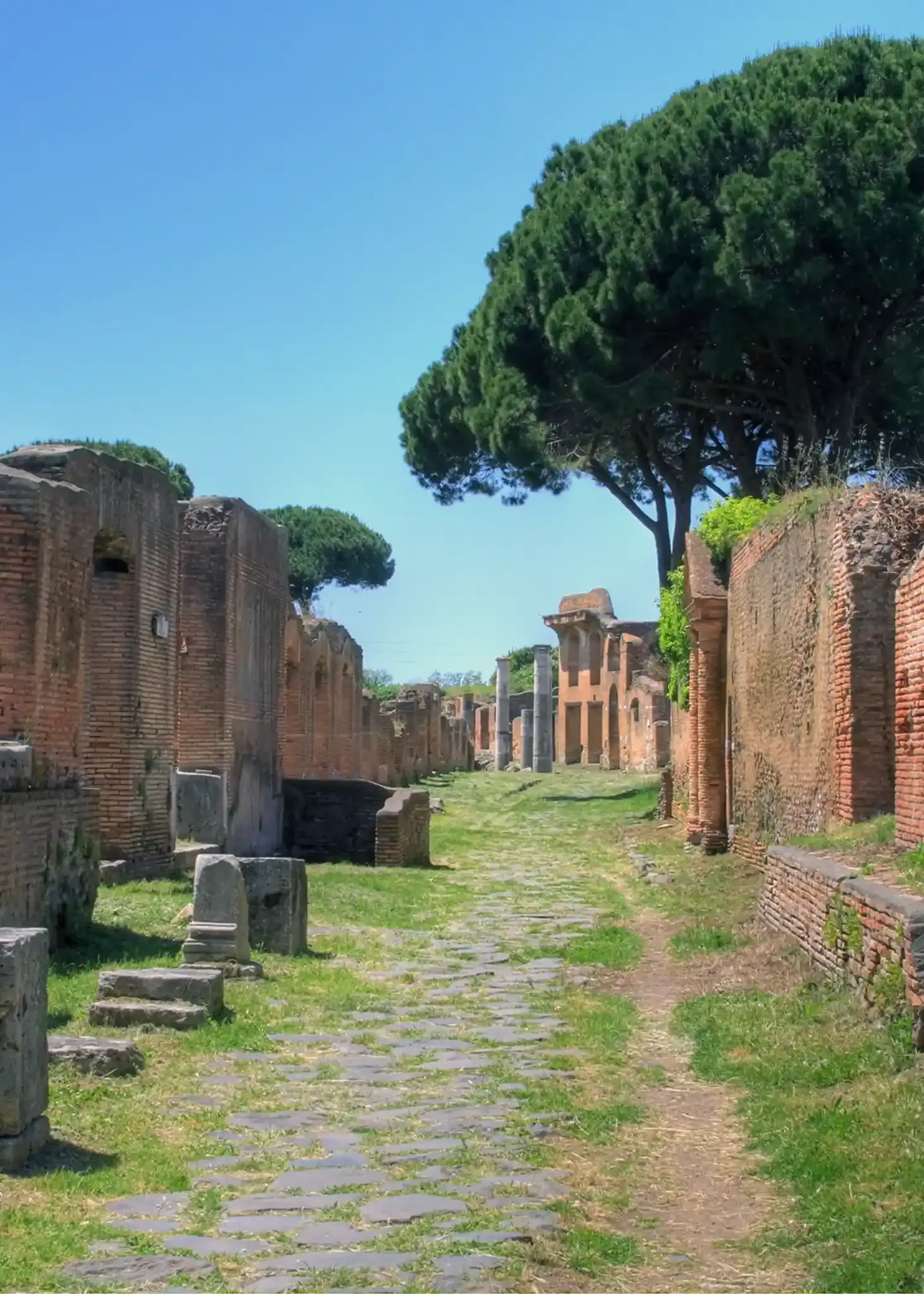 Ancient Roman street Via Destrutto with brick buildings and pine trees at Ostia Antica archaeological site