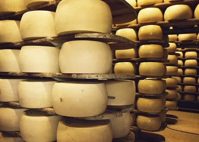 Multiple wheels of aged Parmigiano Reggiano cheese stacked on wooden shelves in a traditional aging cellar, displaying the craftsmanship and time required to produce authentic Italian Parmesan cheese.