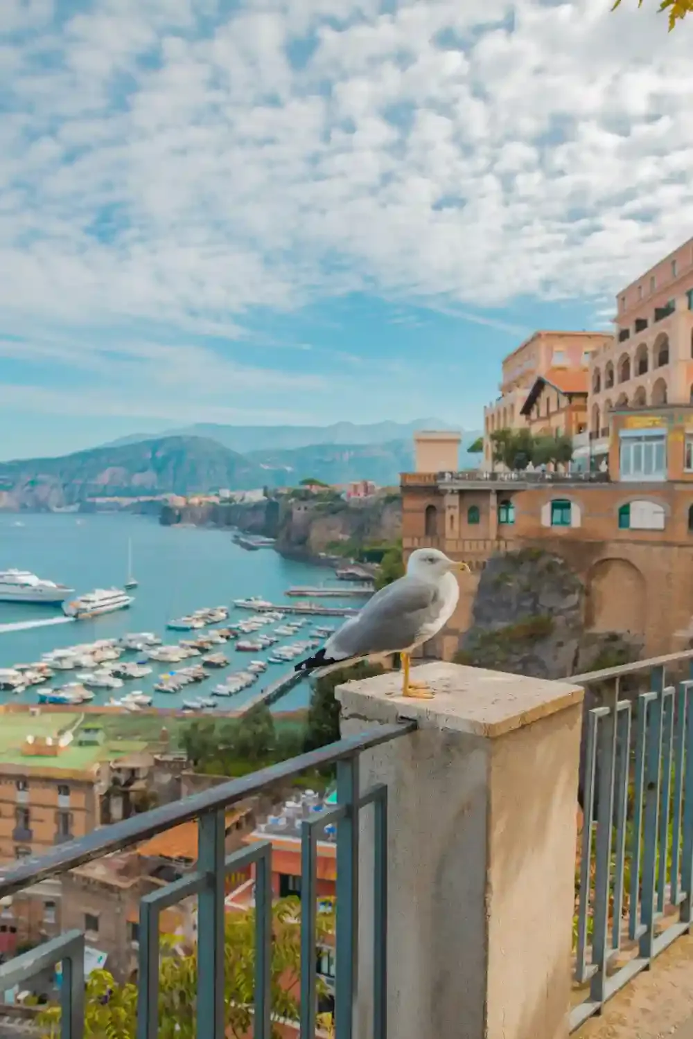 White seagull perched on terrace overlooking Positano harbor with colorful boats and Mediterranean coastline