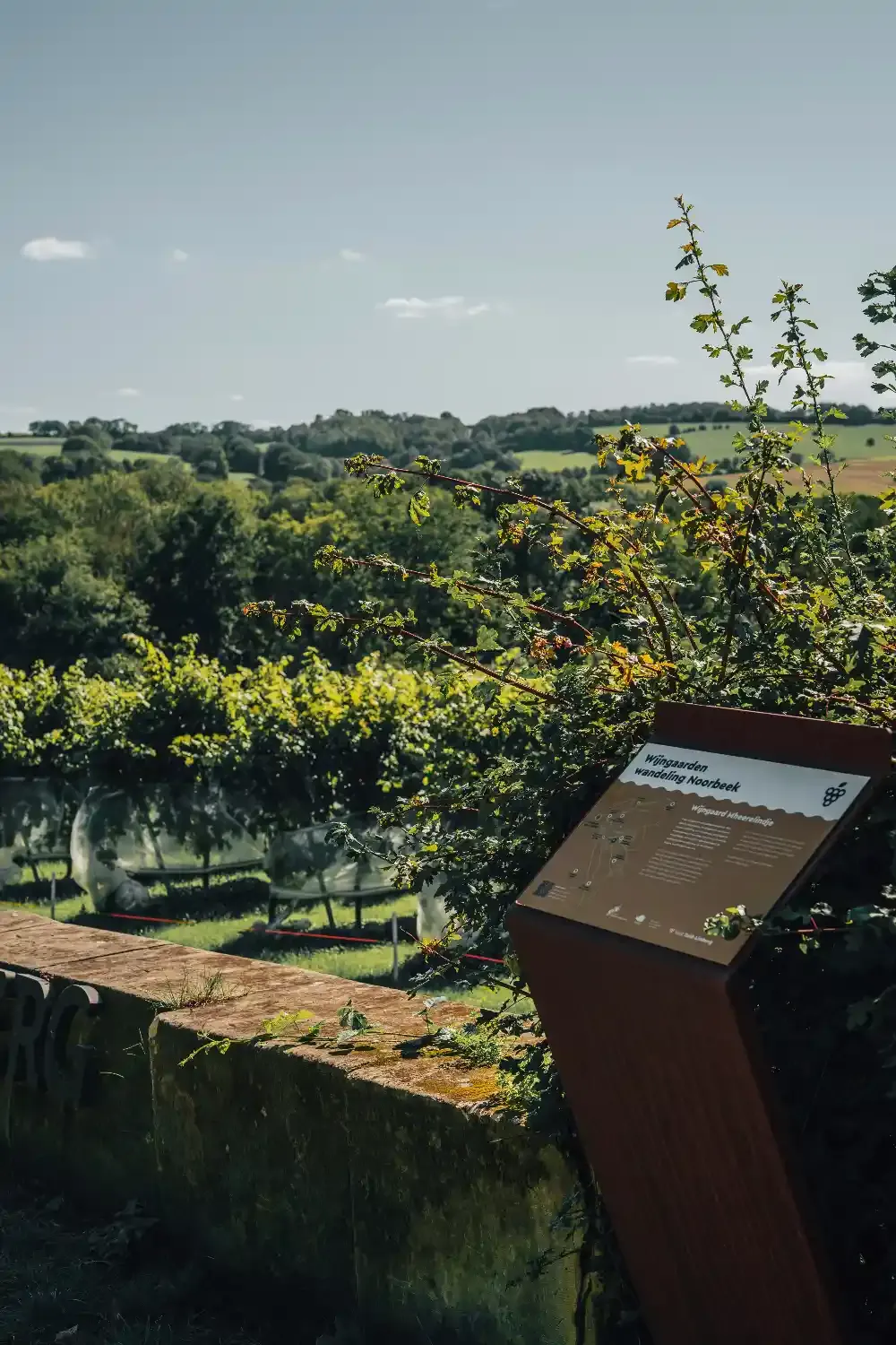 Vineyard information plaque overlooking lush Tuscan countryside with green fields, trees, and distant rolling landscape